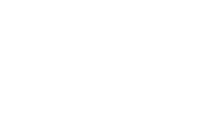 広告を極める。どんな広告でも成果を出す、すんごい広告運用。